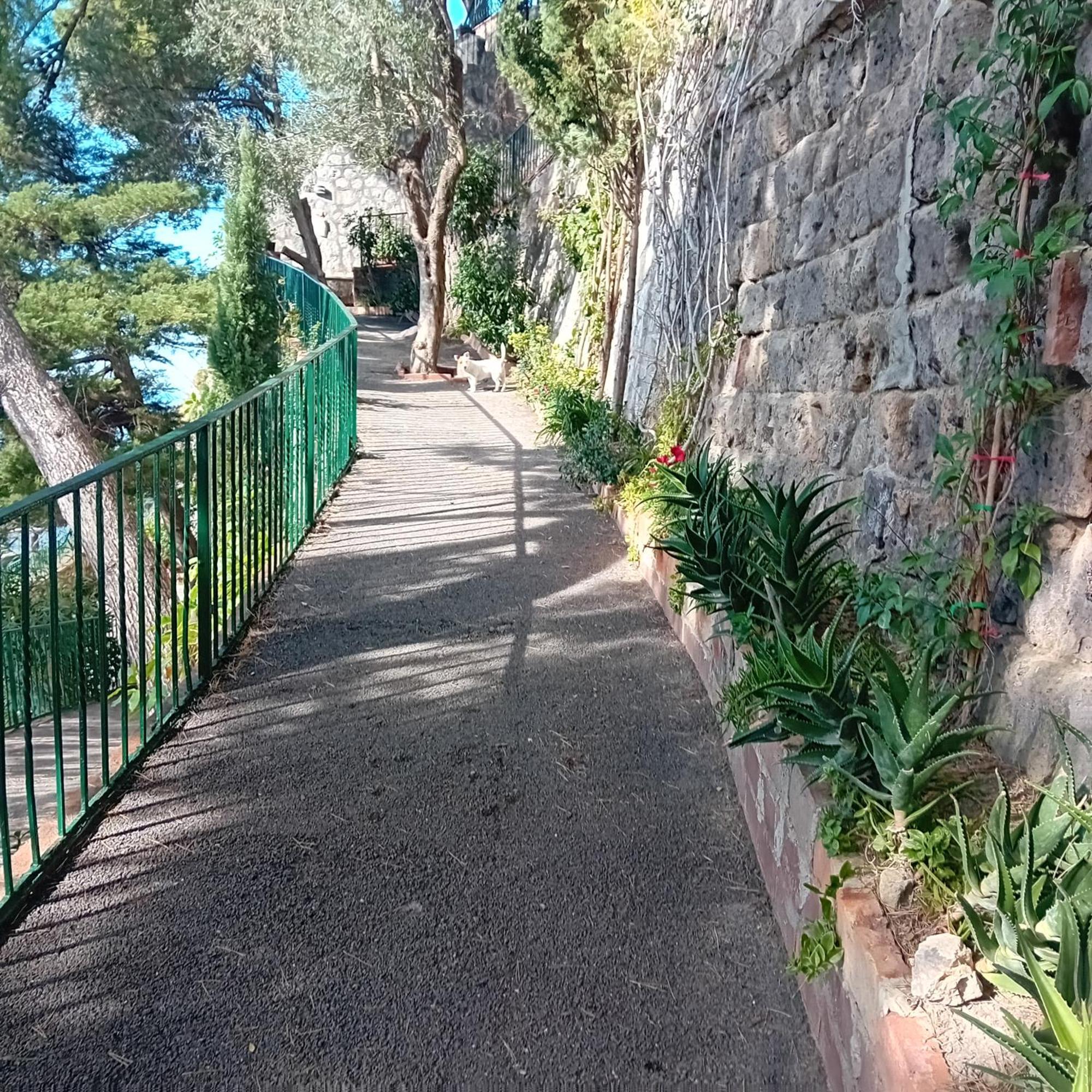 Villa La Galetta Vico Equense Exteriér fotografie