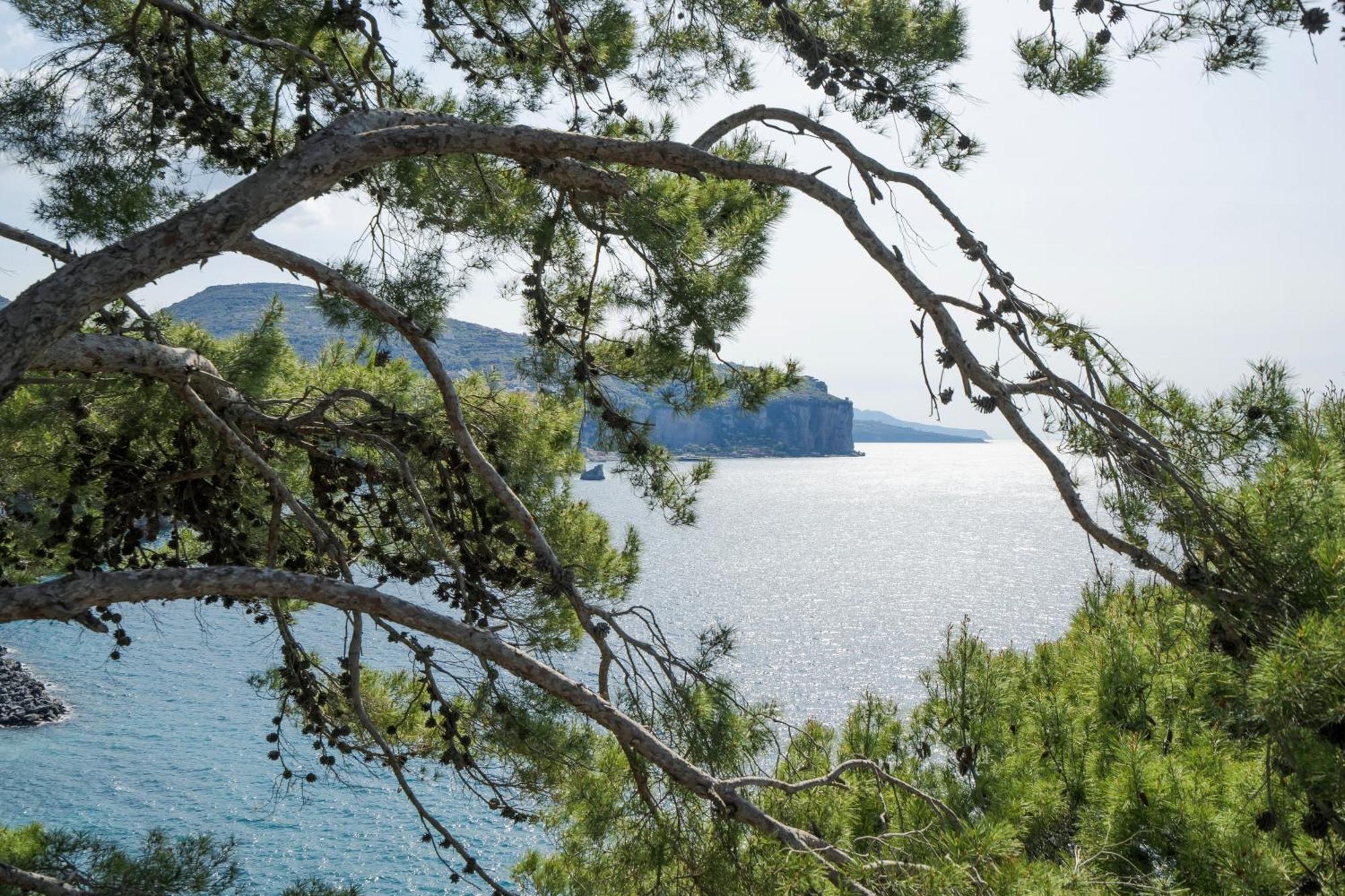 Villa La Galetta Vico Equense Exteriér fotografie